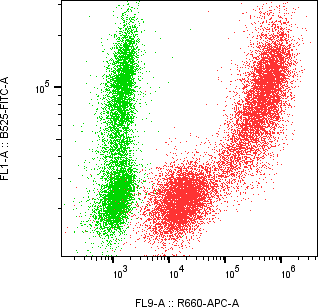 Rabbit-anti SFTPD monoclonal antibody