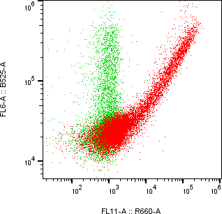 Rabbit-anti NCSTN monoclonal antibody