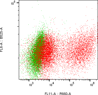 Rabbit-anti CCER2 monoclonal antibody