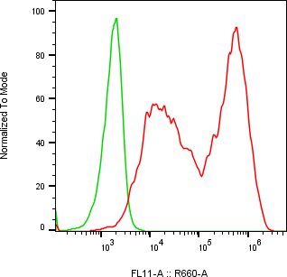 Rabbit-anti ACRV1 monoclonal antibody