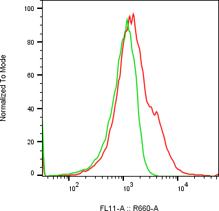 Rabbit-anti PD-1 monoclonal antibody