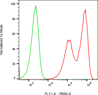 Rabbit-anti CFD monoclonal antibody