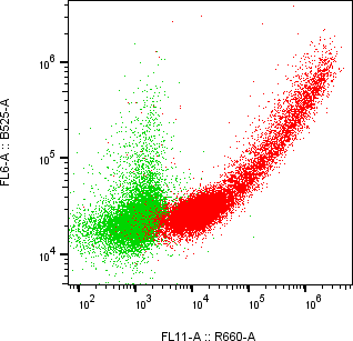 Rabbit-anti CEACAM7 monoclonal antibody