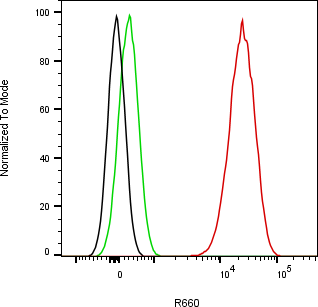 Rabbit-anti FOLR1 monoclonal antibody