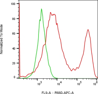 Rabbit-anti GFRA2 monoclonal antibody