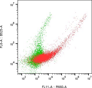 Rabbit-anti GPNMB monoclonal antibody