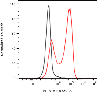 Rabbit-anti CD33 monoclonal antibody