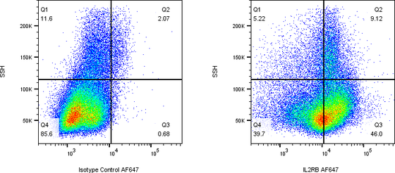 Rabbit-anti IL2RB monoclonal antibody