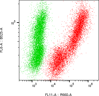 Rabbit-anti GC monoclonal antibody