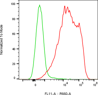 Rabbit-anti CD84 monoclonal antibody