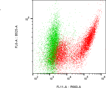Rabbit-anti LCN12 monoclonal antibody
