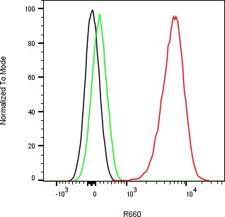 Rabbit-anti C1QTNF1 monoclonal antibody