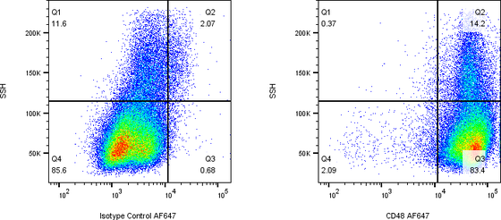 Rabbit-anti CD48 monoclonal antibody