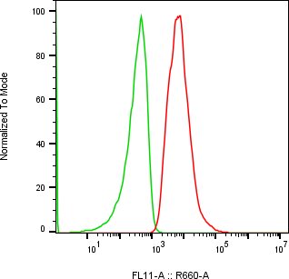 Rabbit-anti SIGIRR monoclonal antibody