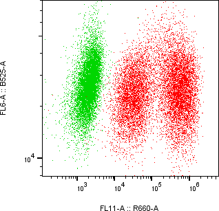 Rabbit-anti KLK6 monoclonal antibody