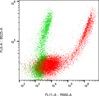 Rabbit-anti TREML2 monoclonal antibody