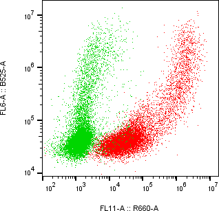 Rabbit-anti CD71 monoclonal antibody