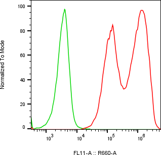 Rabbit-anti PLAU monoclonal antibody