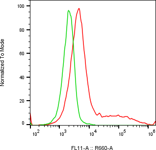 Rabbit-anti CDSN monoclonal antibody