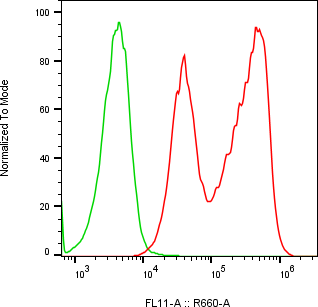 Rabbit-anti AMY2A monoclonal antibody
