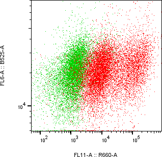 Rabbit-anti GNRH2 monoclonal antibody