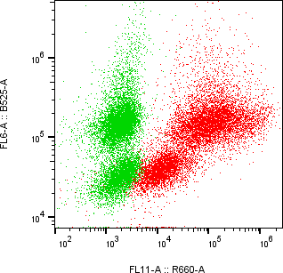 Rabbit-anti CST1 monoclonal antibody