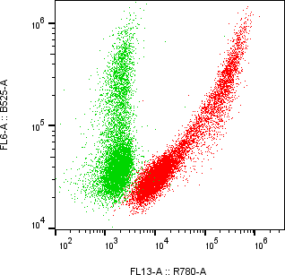 Rabbit-anti EFNB2 monoclonal antibody