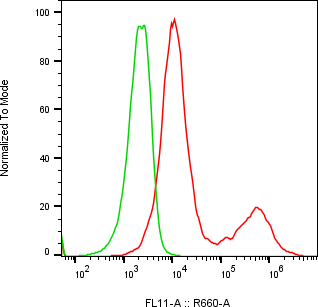 Rabbit-anti SMR3B monoclonal antibody