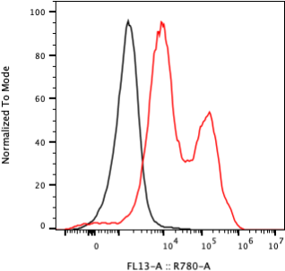 Rabbit-anti VCAM1 monoclonal antibody
