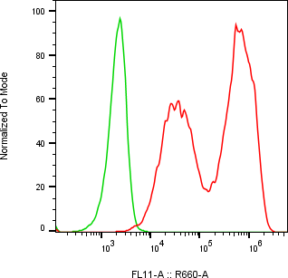 Rabbit-anti KLK6 monoclonal antibody