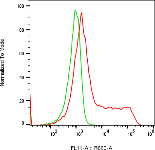 Rabbit-anti NCSTN monoclonal antibody
