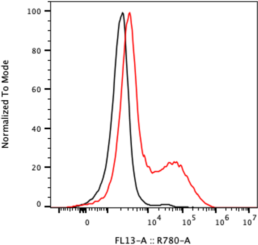 Rabbit-anti CDH16 monoclonal antibody