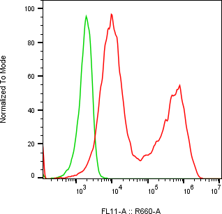 Rabbit-anti AVP monoclonal antibody