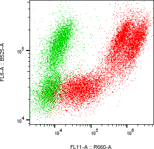 Rabbit-anti CSH2 monoclonal antibody