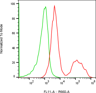 Rabbit-anti CD300LB monoclonal antibody
