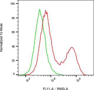 Rabbit-anti IGFBP4 monoclonal antibody