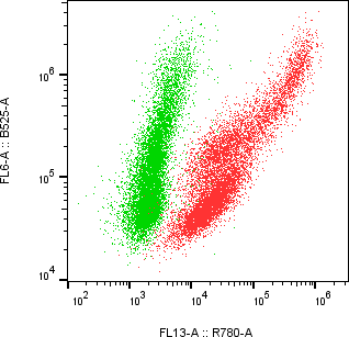 Rabbit-anti KIR3DL2 monoclonal antibody