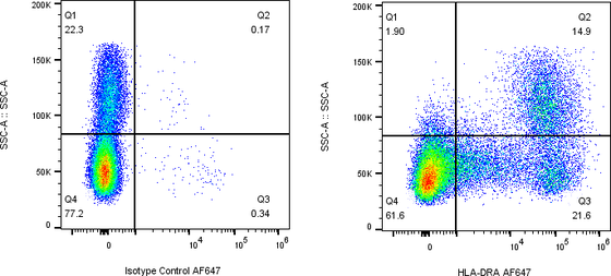 Rabbit-anti HLA-DRA monoclonal antibody