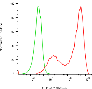 Rabbit-anti EPYC monoclonal antibody
