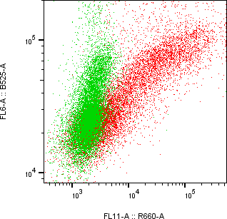 Rabbit-anti FCRL6 monoclonal antibody