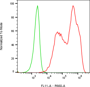 Rabbit-anti KLK6 monoclonal antibody
