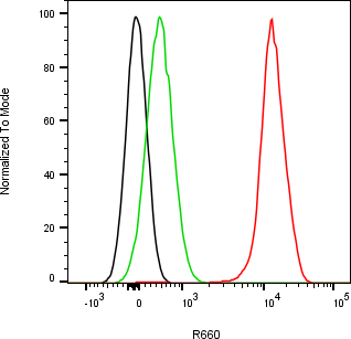 Rabbit-anti CDH16 monoclonal antibody