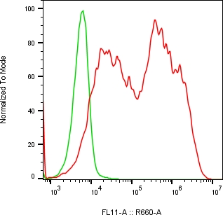 Rabbit-anti LYG2 monoclonal antibody
