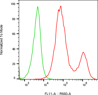 Rabbit-anti PEBP4 monoclonal antibody