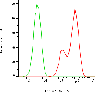 Rabbit-anti sclerostin monoclonal antibody