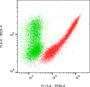 Rabbit-anti IL11 monoclonal antibody