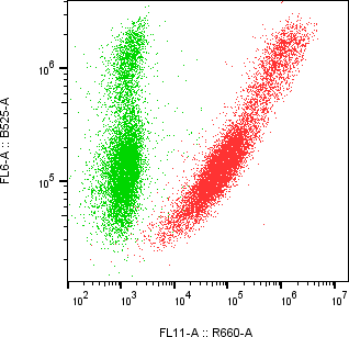 Rabbit-anti IL7 monoclonal antibody