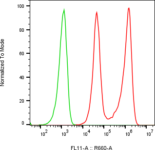 Rabbit-anti PIK3IP1 monoclonal antibody