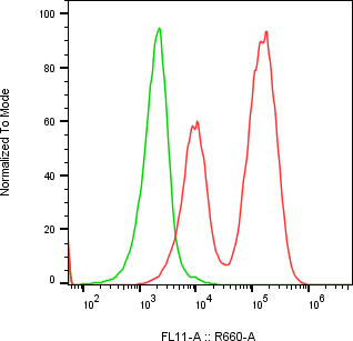 Rabbit-anti TROP2 monoclonal antibody