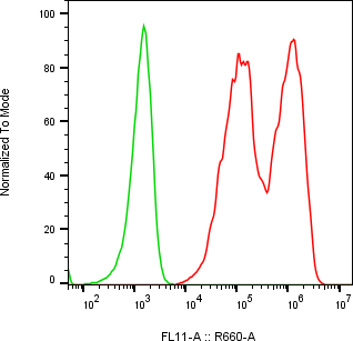 Rabbit-anti SPINK6 monoclonal antibody